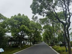 -东钱湖小普陀景区