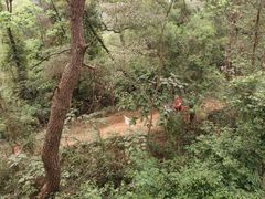 -芦仙山景区-飞越丛林探险乐园