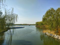 -大兴滨河森林公园