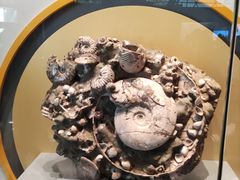 -湖南省地质博物馆