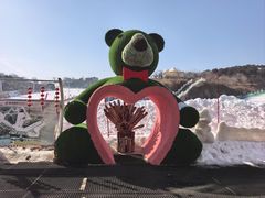 -蓟洲国际滑雪场