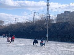 -前关湿地公园