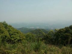 山上-广州市帽峰山景区