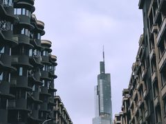 -紫峰大厦