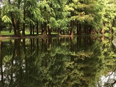 -共青国家森林公园-南大门停车场