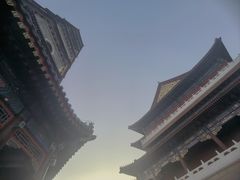 -天津大悲禅院