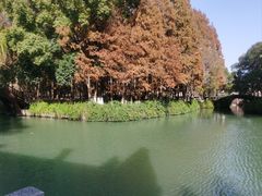 -乌镇东栅景区