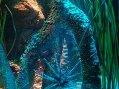 -沈阳海洋探索中心