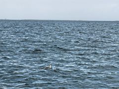 -青海湖二郎剑景区
