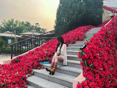 -泡泡玛特POPMART(蓝色港湾店)