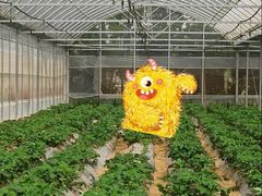 -前小桔亲子创意农场·草莓采摘·露营烧烤