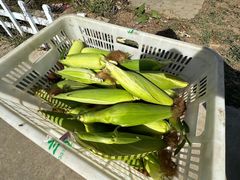 -君乐宝优致牧场