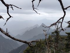 -碧峰峡风景区