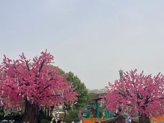 -南湖梦幻岛
