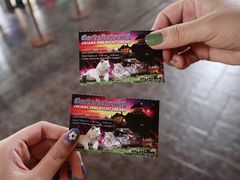 -清迈夜间动物园