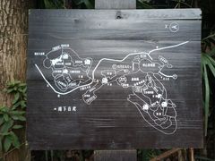 -南山植物园