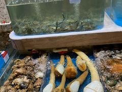 -阿杜打边炉(五江天街店)