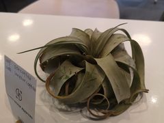 -KYO COFFEE(胶州路店)