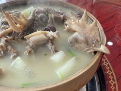 -谭家菜农夫山庄