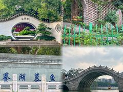 -西湖公园(鼓楼区)