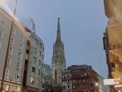 -斯蒂芬主教座堂(Stephansdom)