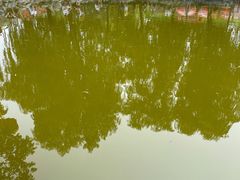 -朝阳公园游乐园