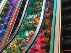 -万达广场(南昌红谷滩店)