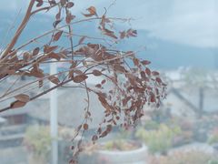 -唐咖精品咖啡(大理古城手冲店)