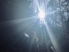 -藏龙百瀑风景区