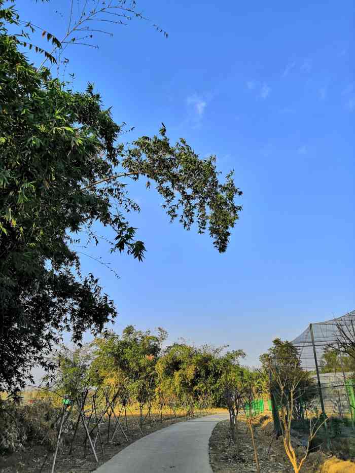 绿沙岛-"绿沙岛在南庄和西樵的交接附近,按导航过去."-大众点评移动版