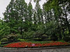 -徐家汇源景区-衡山公园