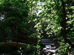 -火炉山森林公园