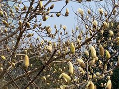 -白塘生态植物园