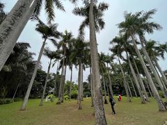 -中国科学院西双版纳热带植物园