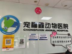 -宠福鑫动物医院(城北分院)