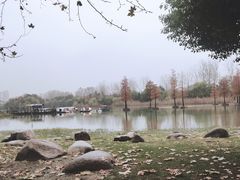 -合肥生态公园