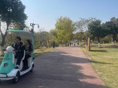 -盘龙城国家考古遗址公园