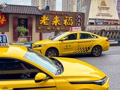 -老来福·非遗酸汤兔(凯旋路店)