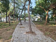 -黑石礁公园