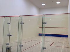 -健身专家Wellness Experts