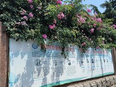 -山东省青岛第六十二中学