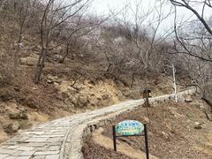 -大岭沟猕猴桃谷风景区