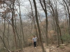 -紫金山天文台