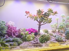 -街角等你.大连海鲜烧烤(西安路店)