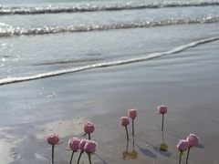 -青澳湾北回归线广场