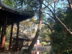 -秋霞圃