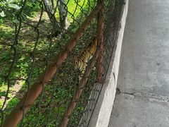 -哈尔滨北方森林动物园