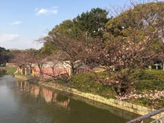 -名古屋城