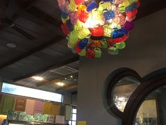 -莓园冰淇淋店
