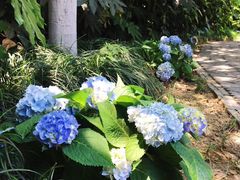 -苏州文旅花间堂·探花府酒店